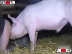Pig fucks a sexy lady while her husband watch and making of xxx movie